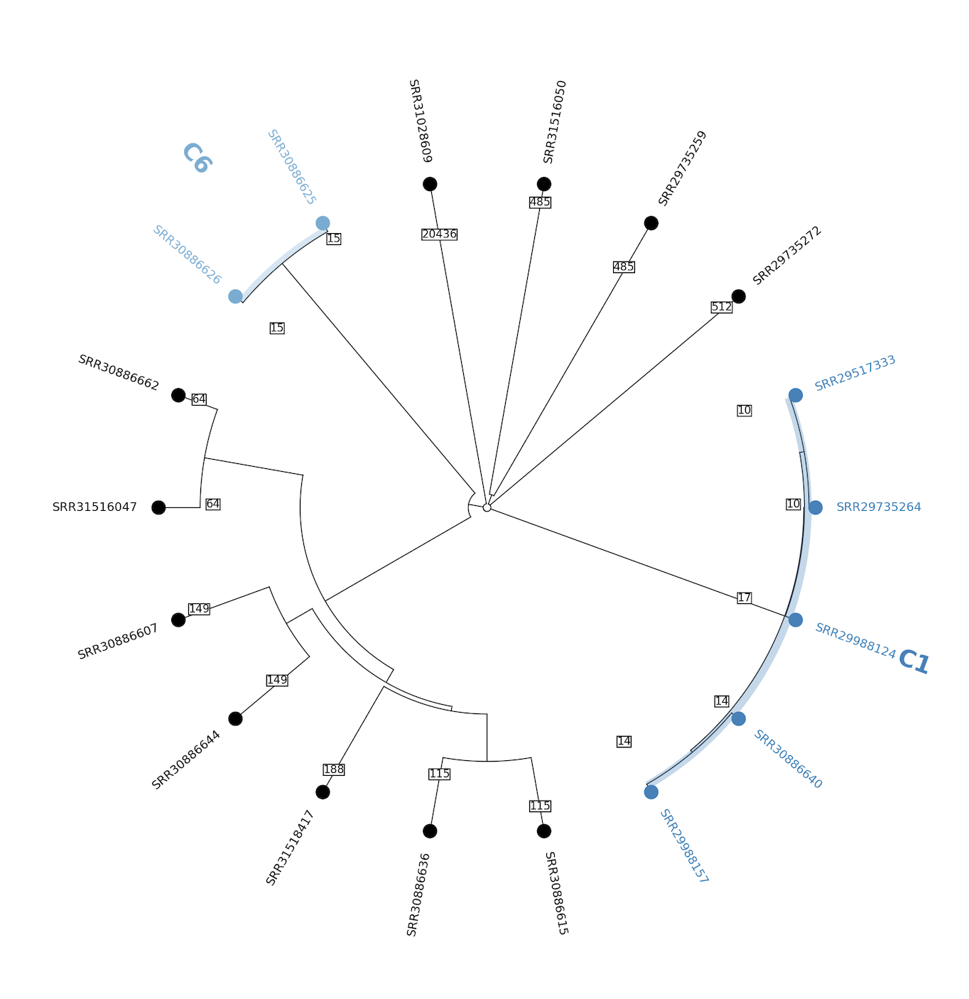 ClusterTree